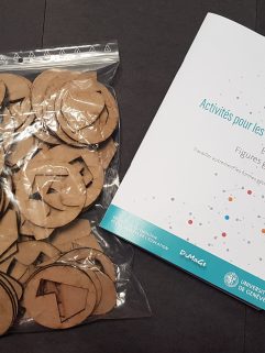 Reconnaissance de formes géométriques au cycle 1 (équipe didactique de GENEVE)